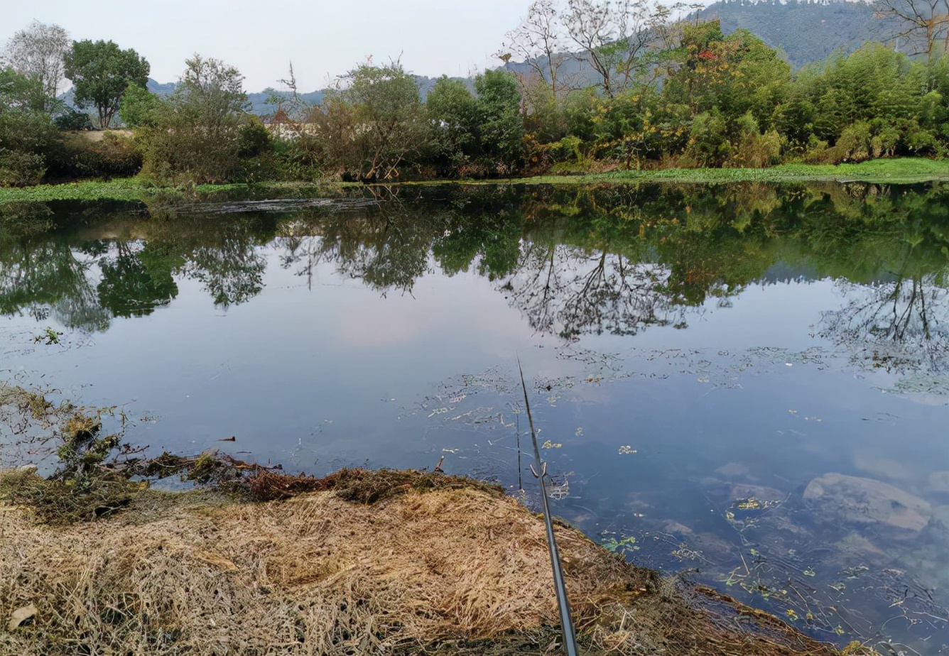 |野钓为何屡屡空军？不妨从3方面找原因，否则别人爆护你干瞪眼