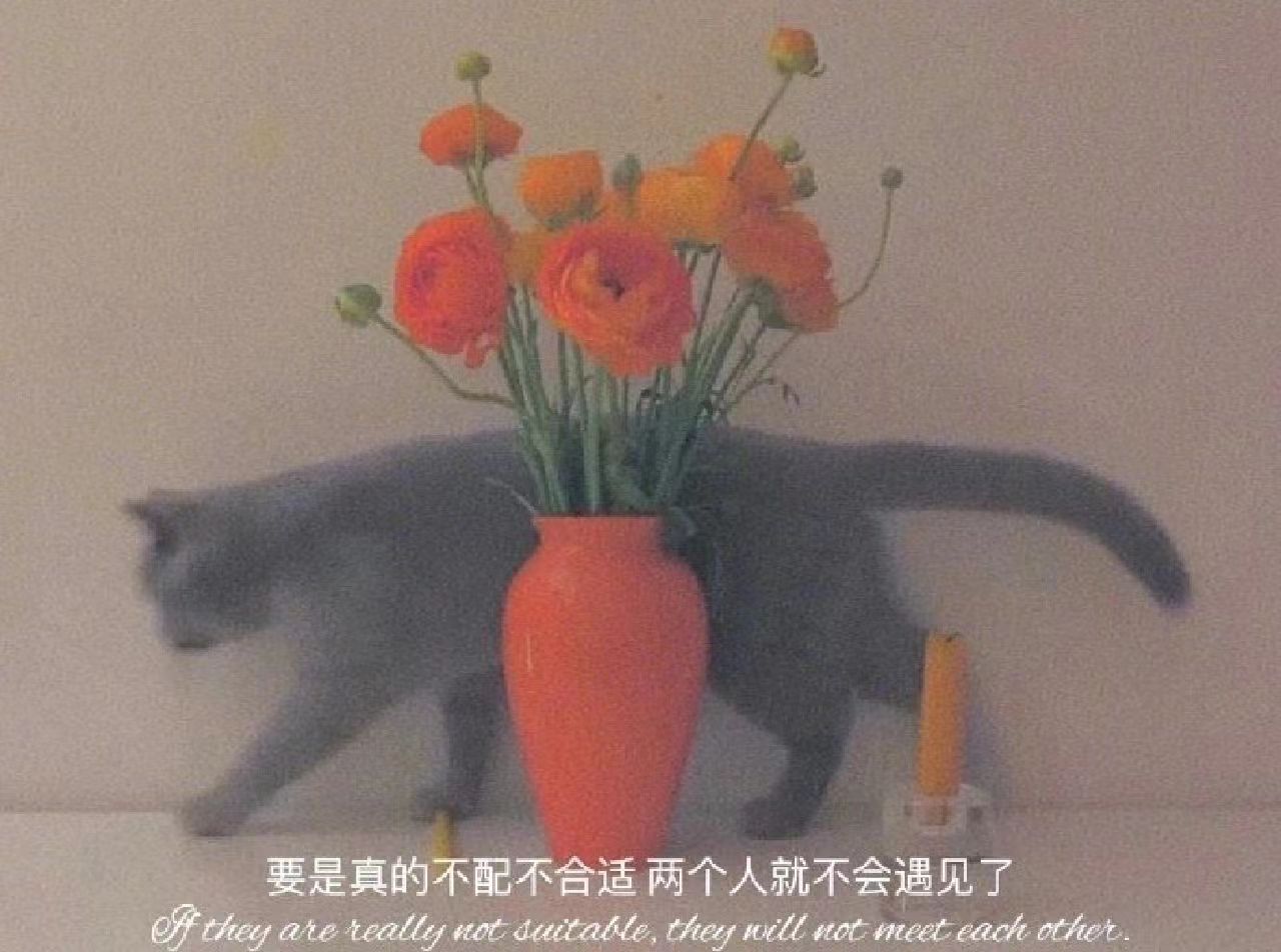 |适合心情低落时发的文案