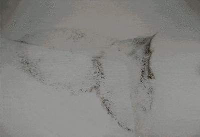 去深圳小姑家蹭饭,一进厨房就懵了,布置的太高级,拍下来学习下