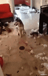 “女朋友当年是班里的班长,当看到她17岁的照片时,这是帮主叭?”