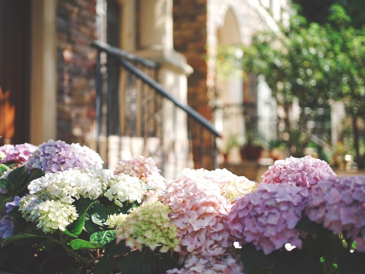 DIY造园:自己设计打造100㎡花园,不需要花太多钱,但充满成就感