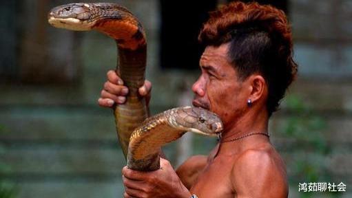 世界上“毒性”最强的4种蛇，眼镜王蛇仅排第3，第一种你绝对没见过！