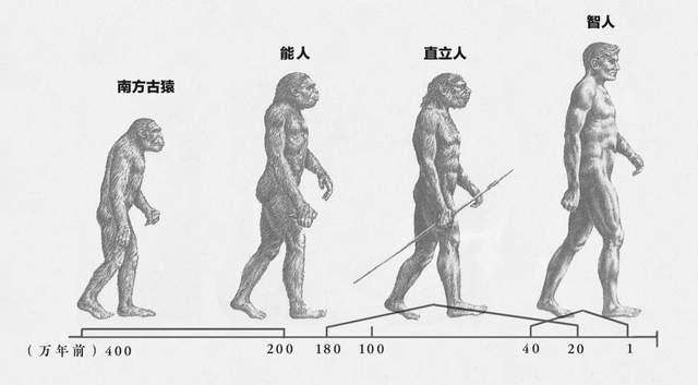动物的血性，两个世纪前的一只狐狸复仇故事，背后人类该有的反思