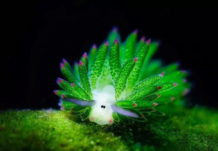 生物是不是自然科学?