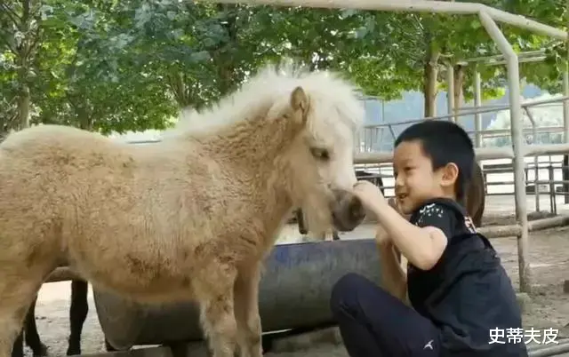 师父|何云伟重返德云社：如果没喊师父“郭纲”，我的结局会不会不同？