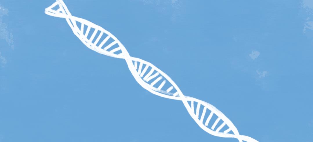第一个人是怎么出现的?明明在恐龙灭绝后,地球根本没有人类