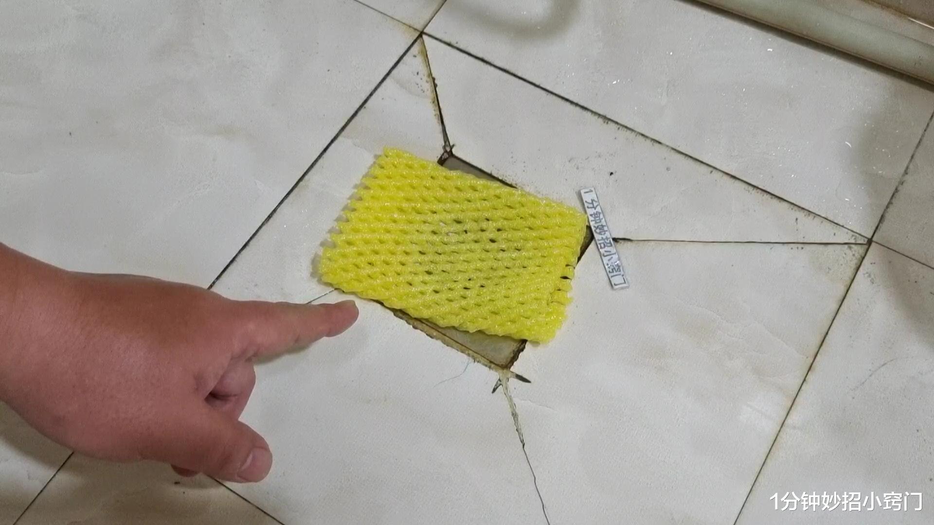 卫生间放个水果网套,真是太聪明了,一年能省不少钱,早知早受益