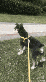 |“这玩意也能吃吗？有谁来给科普一下...”哈哈哈艺高人胆大