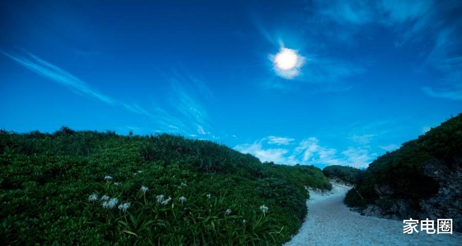 家电业|家电业的希望总是在失望中诞生