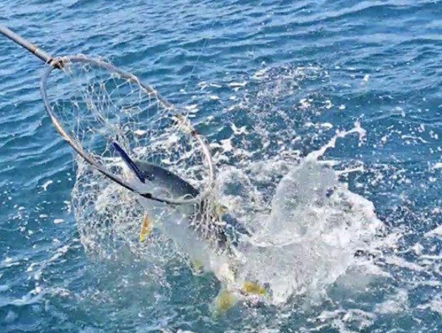 杭州|开海了，海鲜要便宜了，憋了好几个月的钓友终于可以海钓了