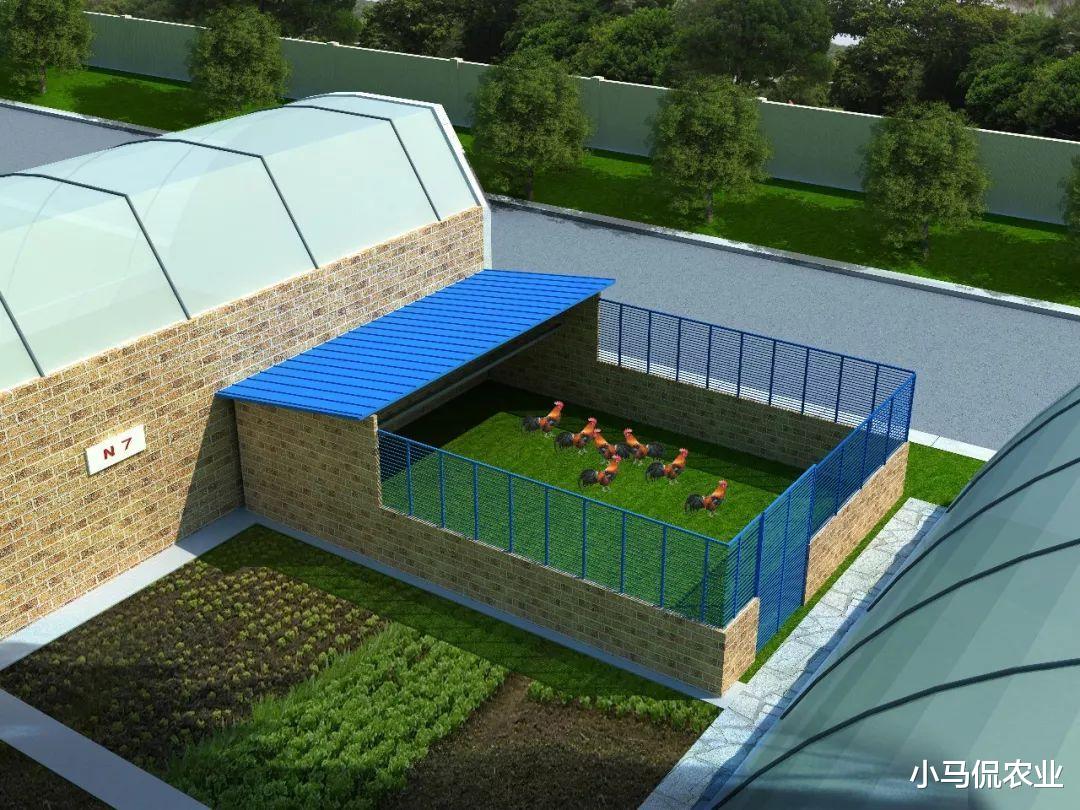 京郊“共享菜园”20平1年3650,推出100块地瞬间抢购一空,有门道