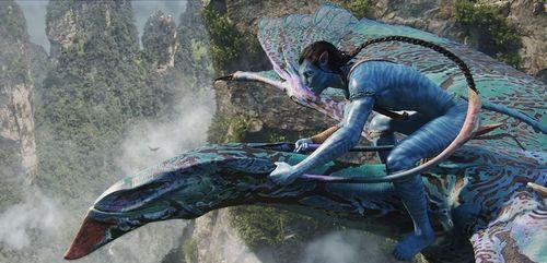 詹姆斯·卡梅隆|《阿凡达2》定档，中国美女演员加盟，詹姆斯卡梅隆小套路真深