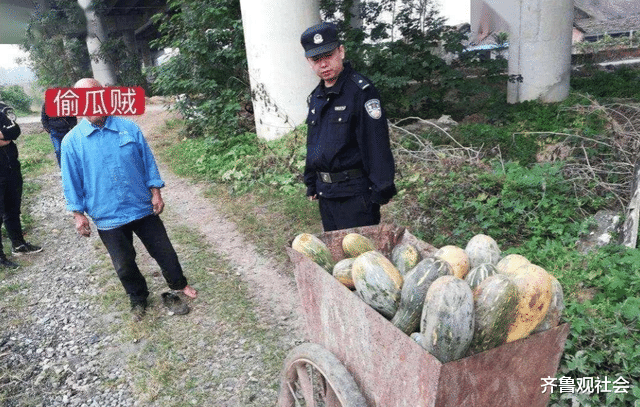 满满的一推车！武汉老人偷南瓜现场照片曝光 村干部回应更奇葩
