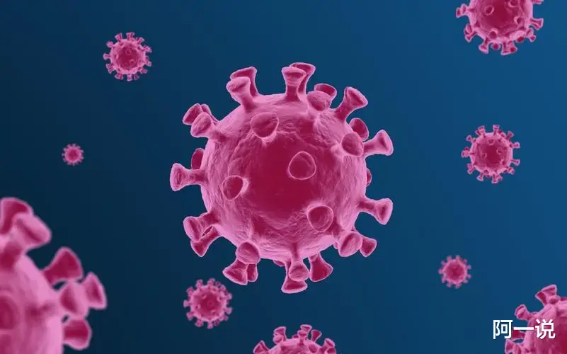 白肺|专家说白肺“欺软怕硬”,民众苦难也要娱乐化?