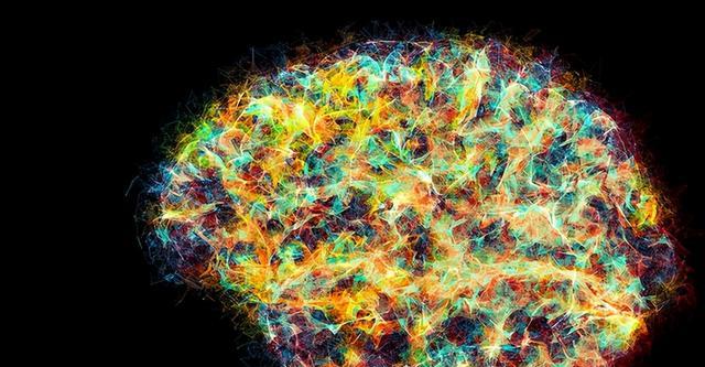 美国科学家复活死猪重要器官,猪“死而复生”!还是原来的猪吗?