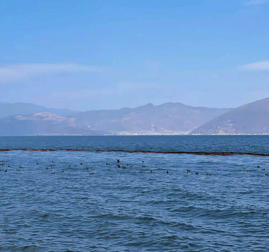 艾米|刘诗诗罕见分享日常美照！穿休闲装看海像拍偶像剧，人比风景还美