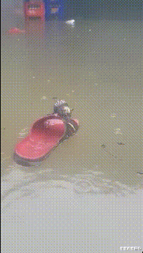 长江|“找了个日本老婆，她说这是天生的皮肤病！”遗传的天生丽质吗