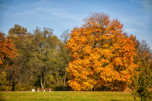 牛皮癣|牛皮癣日常生活中要怎么控制呢