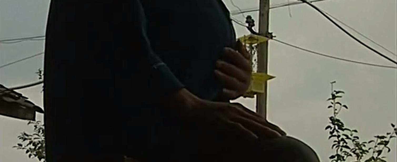 走近科学:重庆男子肚子变大,犹如孕妇,医生手术取出“畸胎瘤”