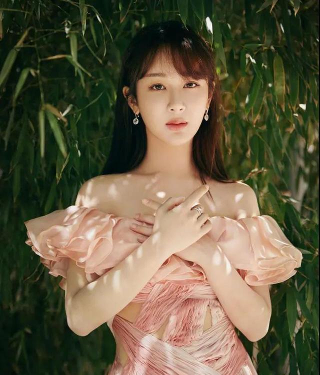 迪丽热巴|迪丽热巴和杨紫有很多相似之处,都被男主拖累,都开始走下坡路了