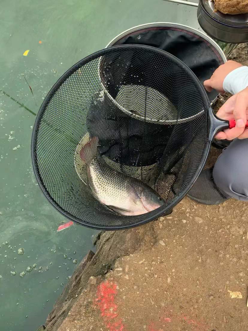 |老钓鱼人都知道的四种漂相，建议收藏