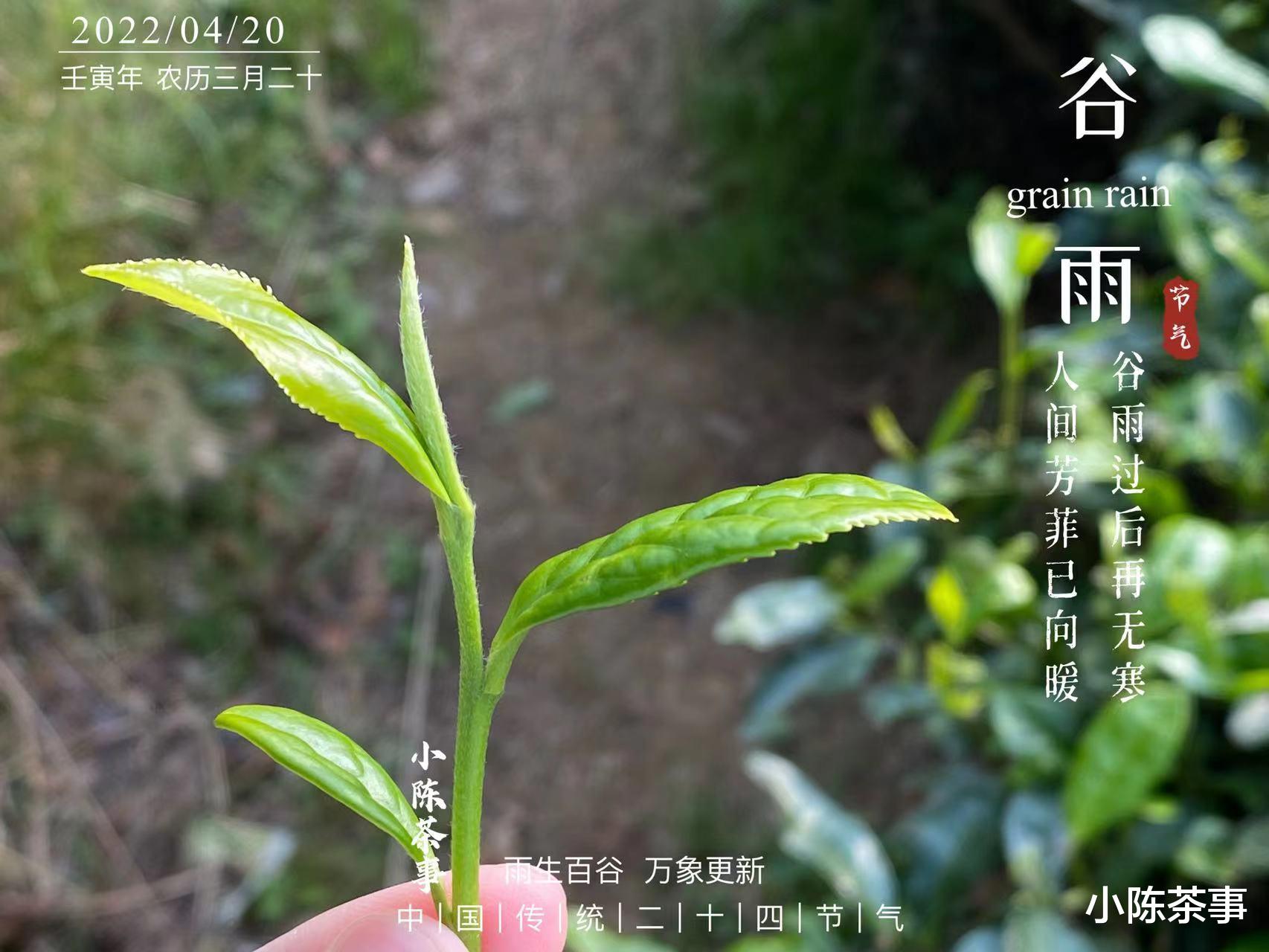 肉桂苦一点,茶味更充足?5大卖茶专用忽悠话术,早知道早受益