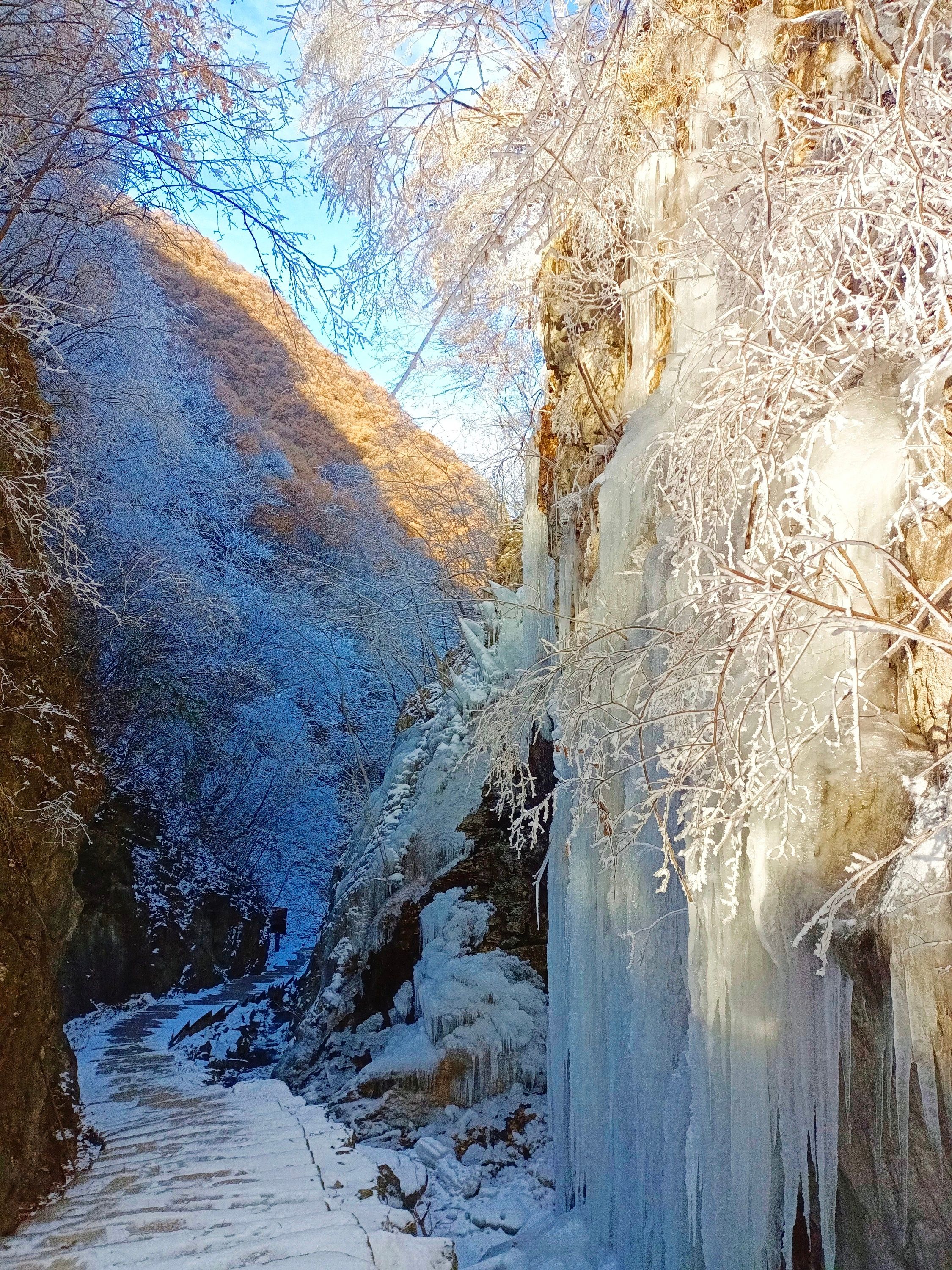 青天河|河南旅游必去的竹林景点，就在洛阳栾川，景色攻略先收藏！