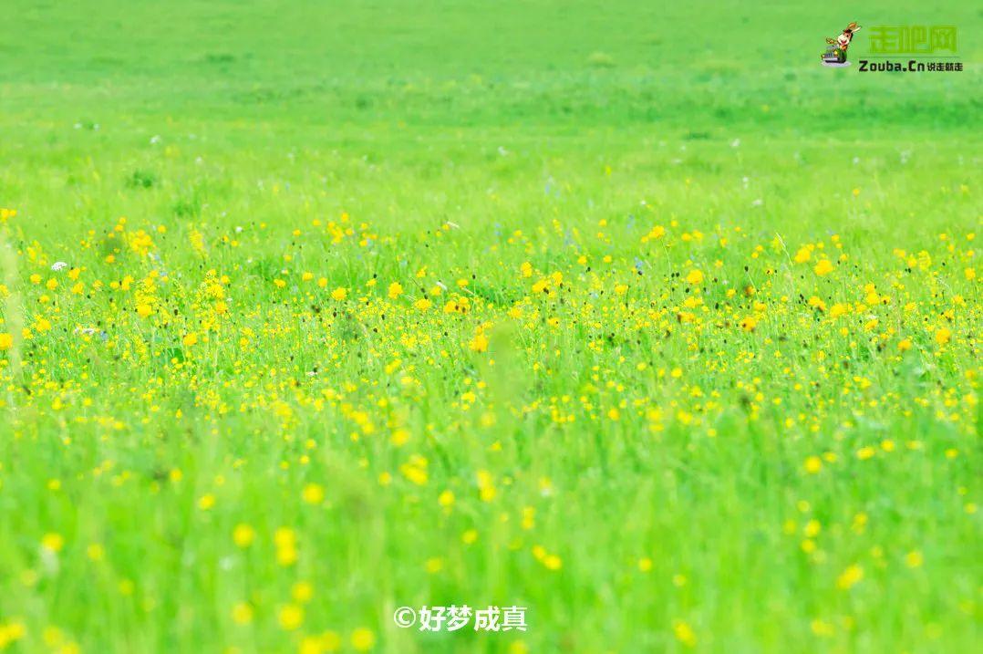 自驾|抓住暑假的尾巴！这14个最佳避暑目的地，景美人少不扎堆