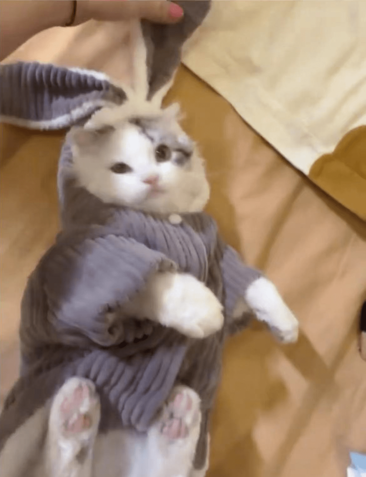 马蓉|36岁马蓉与王宝强离婚后生活富裕阔绰，自称非常幸福