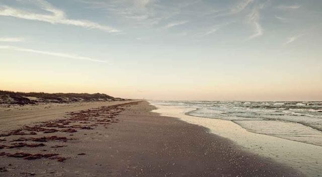 USFWS称,SpaceX星际飞船对环境的潜在影响,可以通过措施来缓解