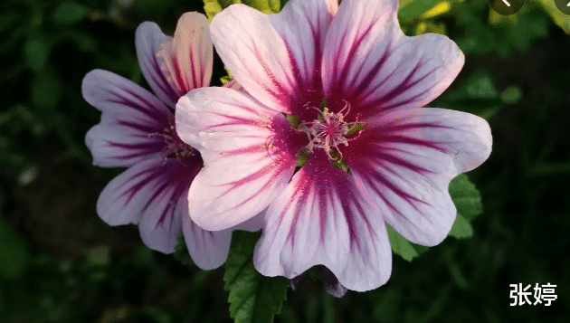 穿衣搭配|事业锦绣,财运佳的3属相