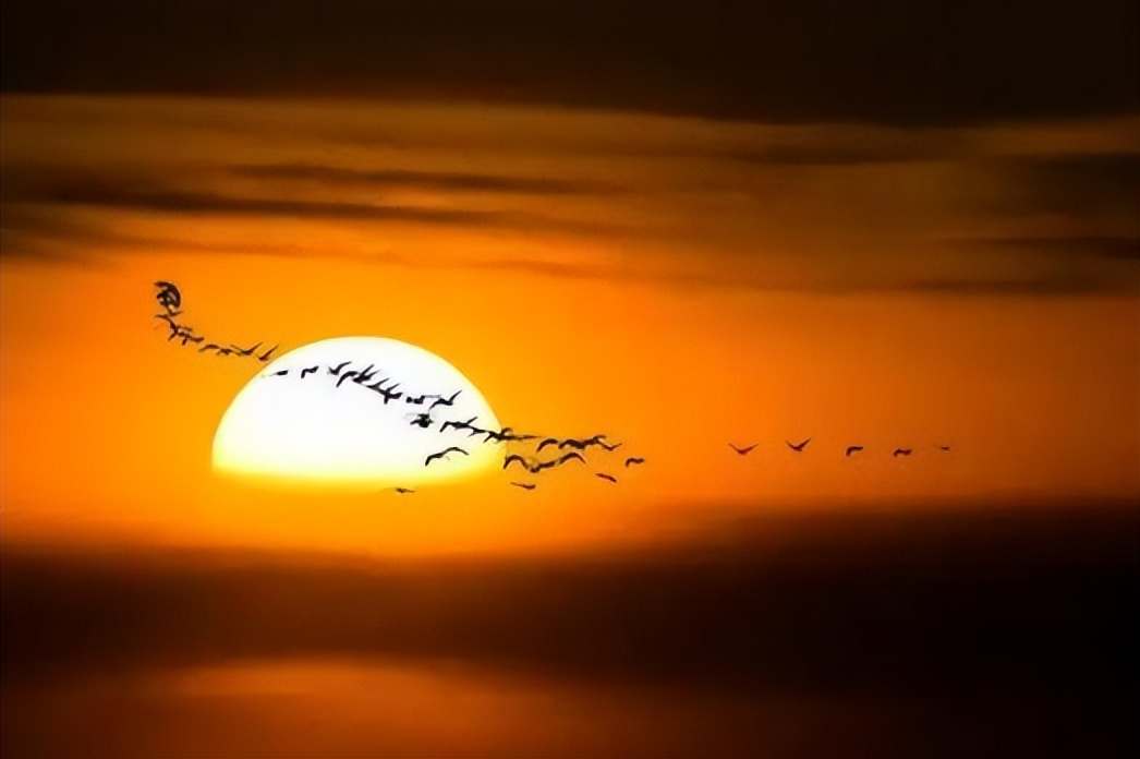 池州|五十岁,是一个人危机四伏的开始,有三件事要格外注意