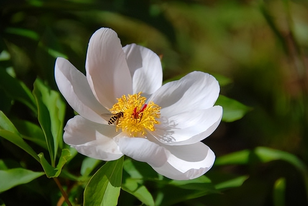 耳鸣|长久保持自律的４个小方法，人人都可复制！
