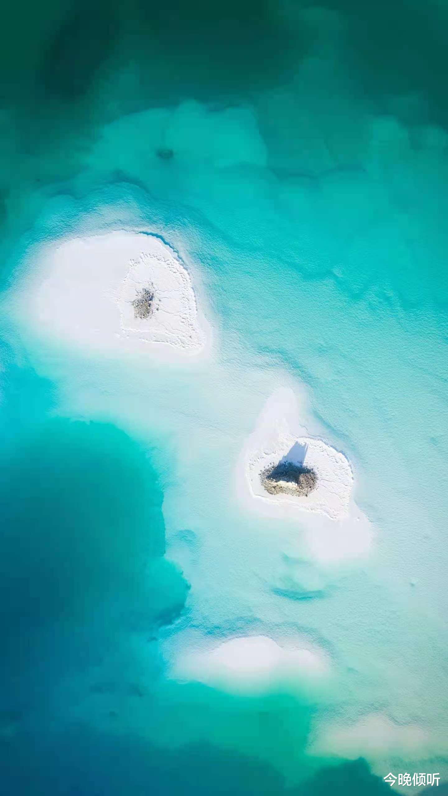 求职|学历运用不好有时候也是一种负担,有些高学历居然成为了找工作的一种负担