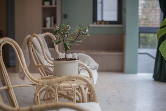 为70㎡庭院她买下252㎡底楼，完工后惊艳万分！这个家能治愈心灵