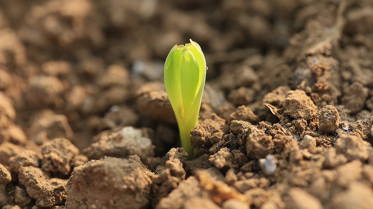 招聘|职场、经济、战争，他们背后的共同逻辑