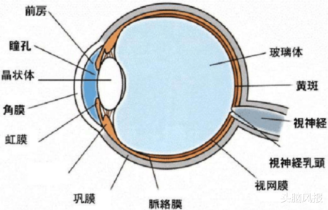 航天员执行180天飞行任务,每天要用4.4升水,所需的水从哪来?