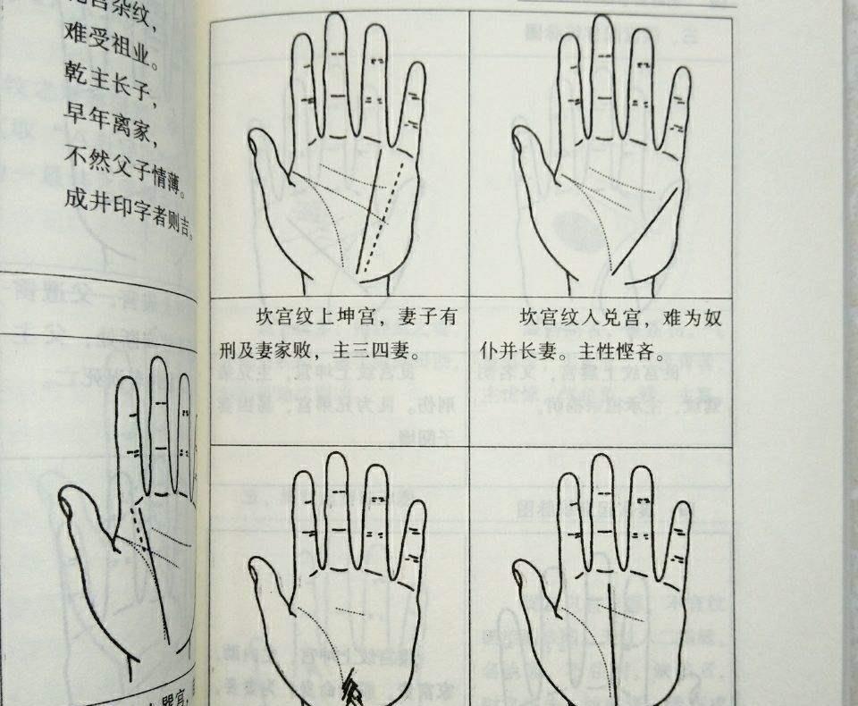 一斗穷,二斗富有何道理?中科院破解“斗”和“簸箕”的基因奥秘