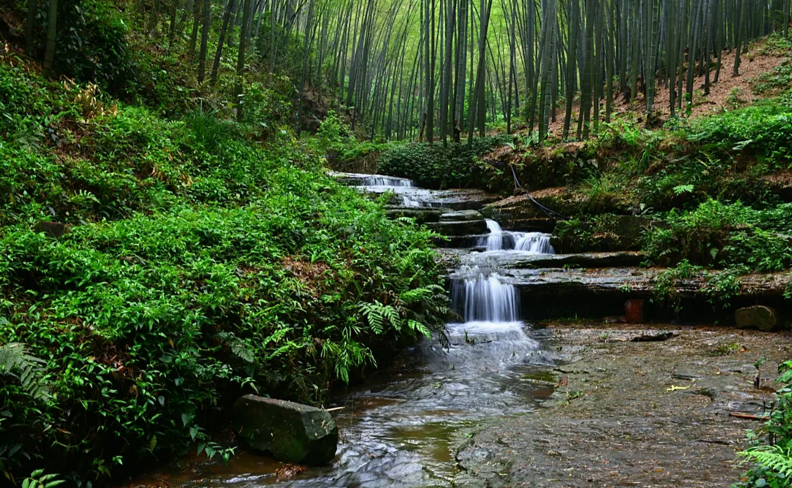 导游|成都“酒香”小城：满城醉香，历史悠久，自驾3h直达