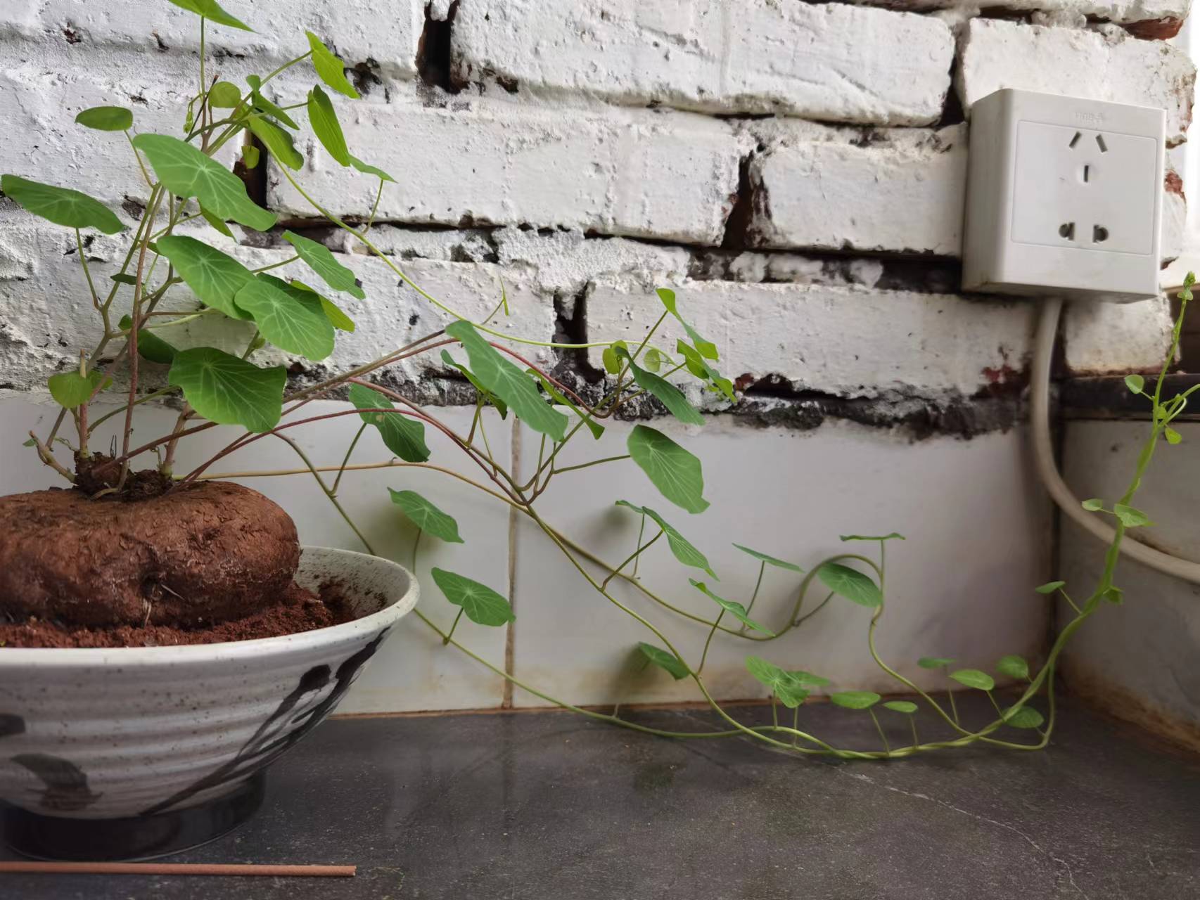 山东省|我们的人生值得