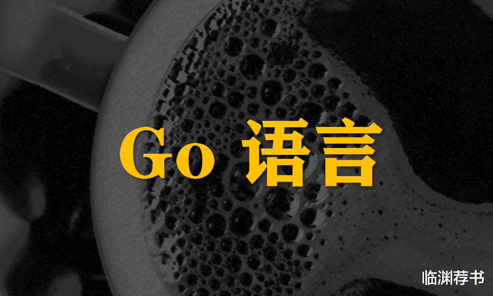 淘宝|编程golang:Go进阶训练营-掌握Go语言进阶能力,加薪利器
