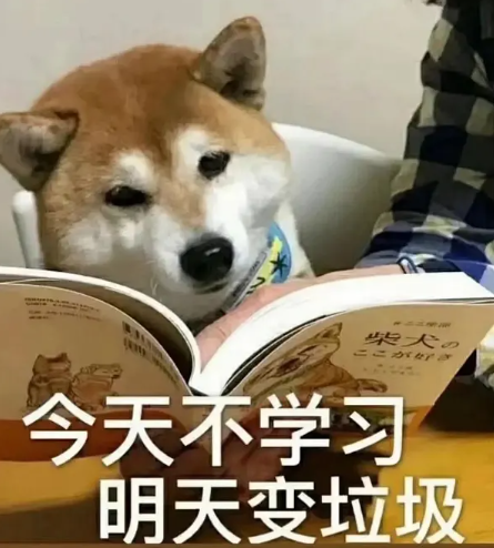 孩子不想上学,想打游戏?电竞圈老母亲神操作劝退!