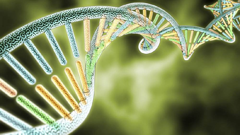 大数据|物联网系统之间的协调与合作，是构建“更智能”的物联网服务的关键