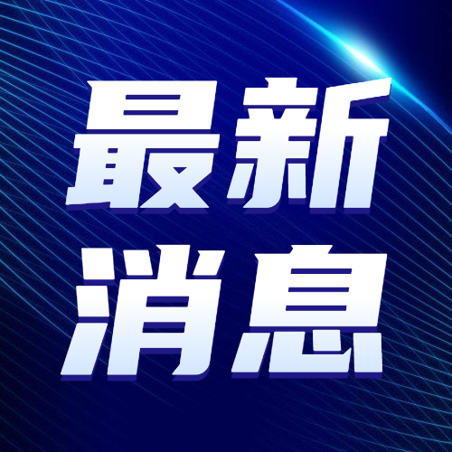邯郸一黑势力团伙21人被判刑