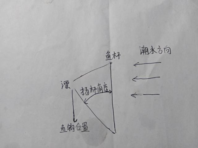 饵料|菜地解封第一战,黄鳍鲷来小爆护