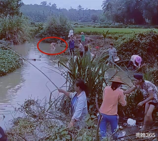 钓鱼|大雨后小河沟成天然黑坑，成百上千的人前来钓鱼，网友：太疯狂了