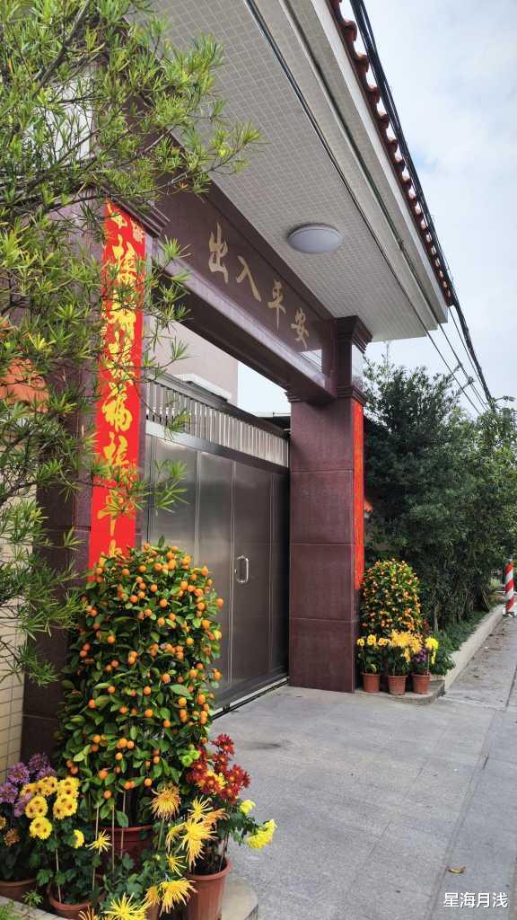 广州市|免费打卡南沙马克村紫花风铃木花海，赏花、购物、摘草莓