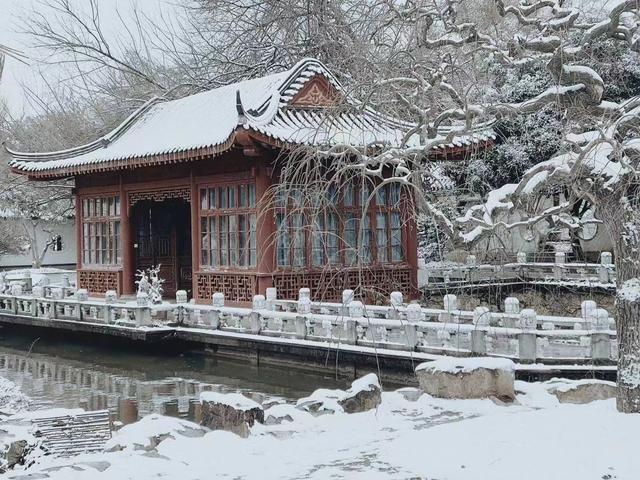 白雪|如入画境！在东湖迎接2023第一场雪