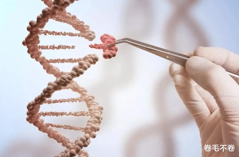 苏醒|车王舒马赫花20亿刚苏醒，儿子却遭严重车祸：生命是张单程票？