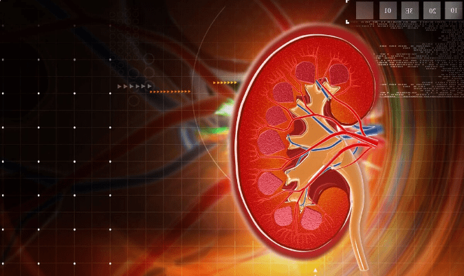 消化不良|防治尿毒症离不开2类药,是护肾小帮手,大多数肾病都要用